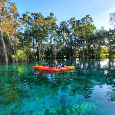 plantation on crystal river manatee tour