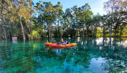 Manatees & Mermaids – Crystal River Watersports