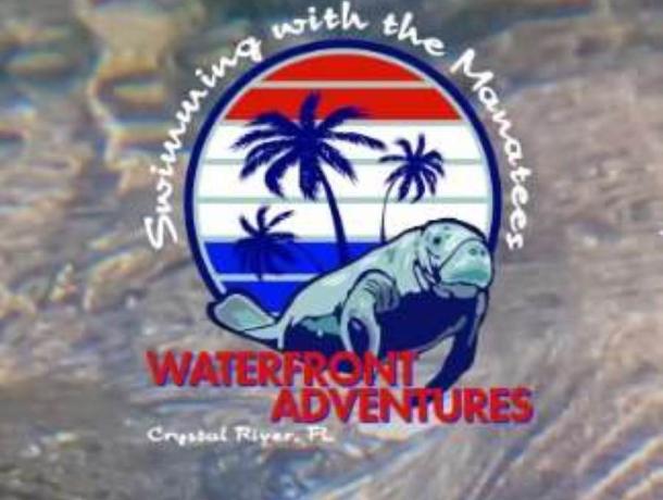 Waterfront Adventures; Swimming with the Manatees