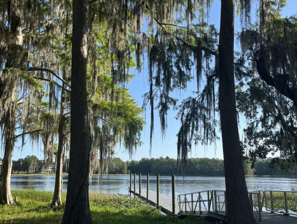 Wallace Brooks Park