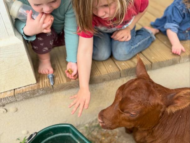 Riverbend Cattle Company