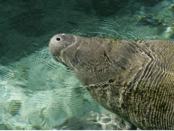 True North Tours Charter & Rentals