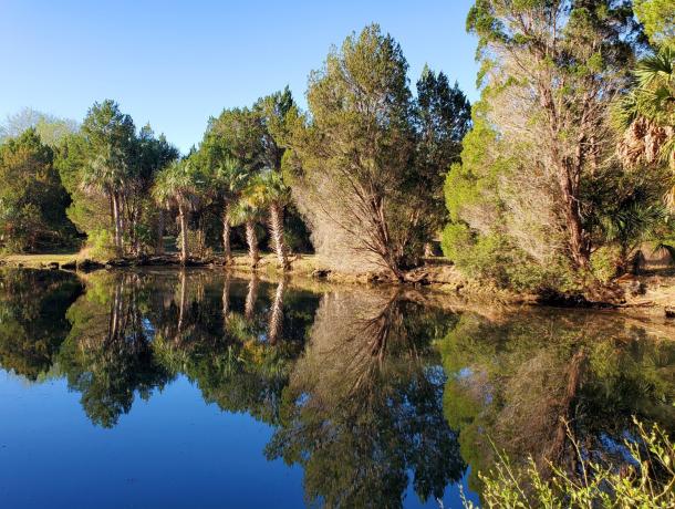 Crystal River Preserve State Park