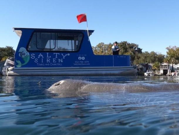 Salty Siren Tours and Charters