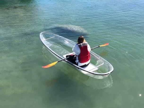 Homosassa Springs Wildlife Adventures