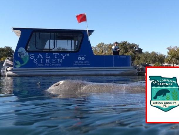 Salty Siren Tours and Charters