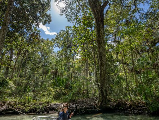 Get Up and Go Kayaking - Chassahowitzka