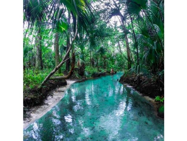 Chassahowitzka Springs Group: The Crack