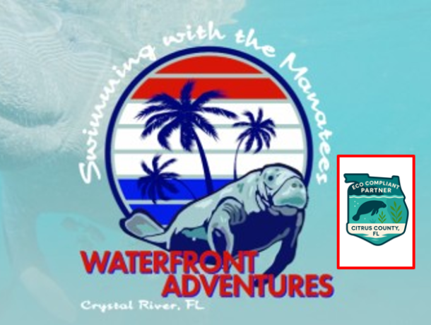Waterfront Adventures; Swimming with the Manatees