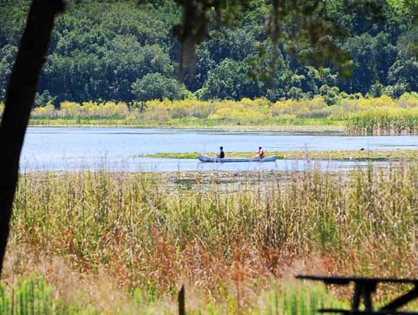 Fort Cooper State Park Primitive Campground