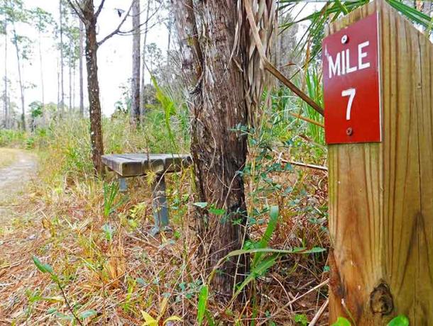 Crystal River Preserve State Park: Seven Mile Loop