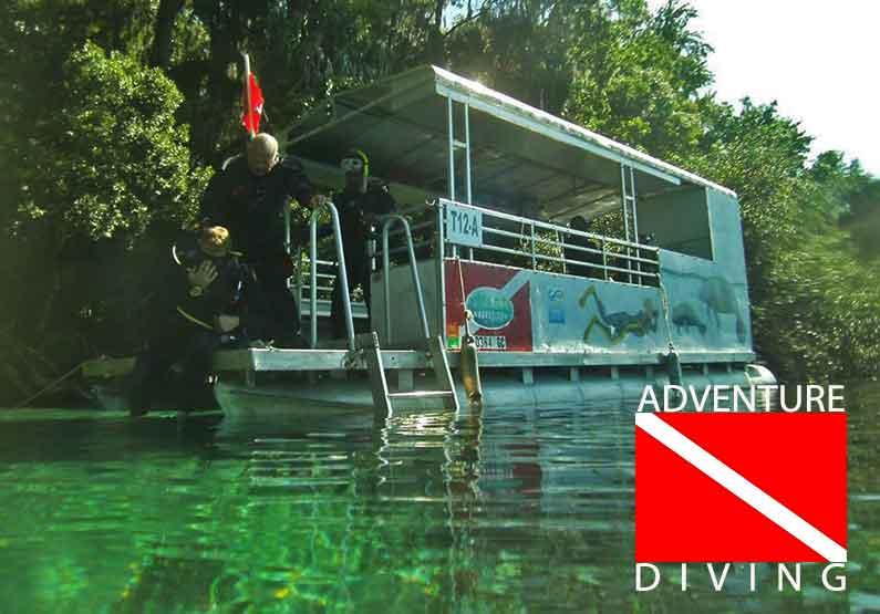 adventure diving tours crystal river reviews