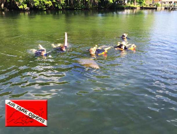 ATD Manatee Tours