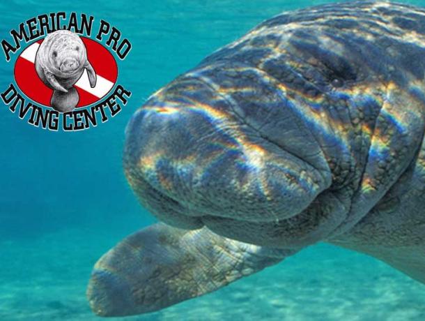 American Pro Diving Center