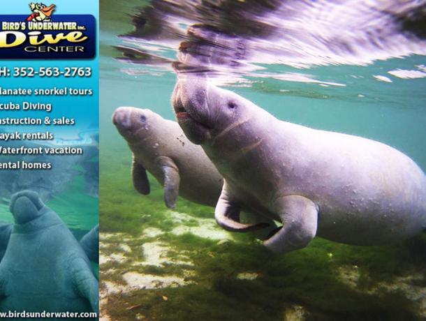 Bird's Underwater Dive Center