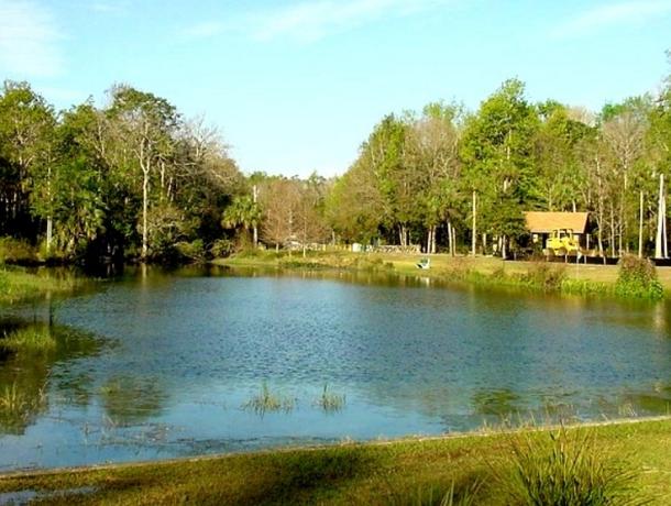 Bluebird Springs Park