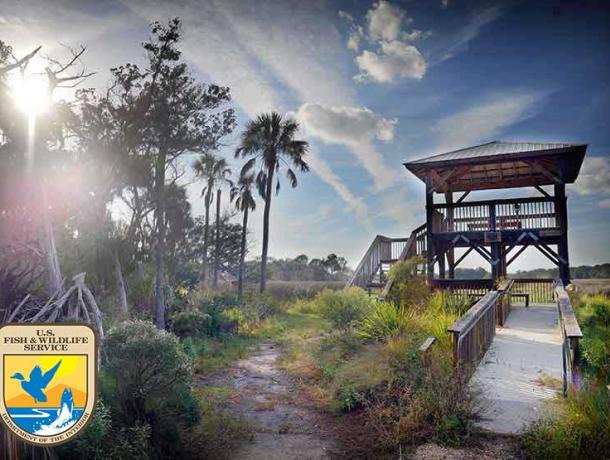 Crystal River National Wildlife Refuge: Chassahowitzka Salt Marsh Trails