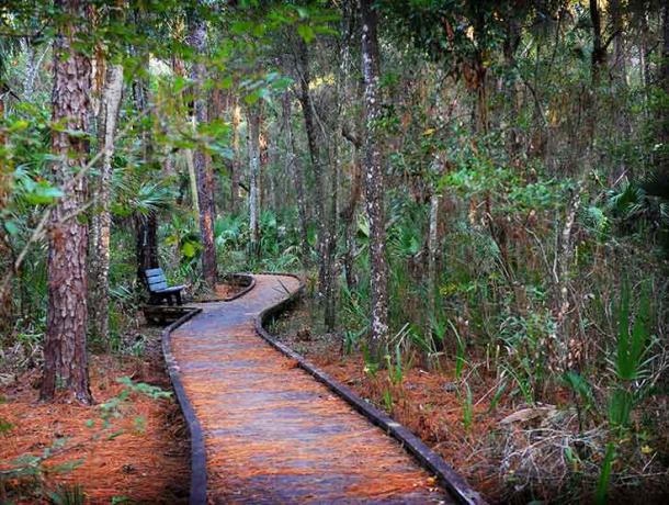Crystal River Preserve State Park: Churchhouse Hammock Boardwalk & Primitive Trails