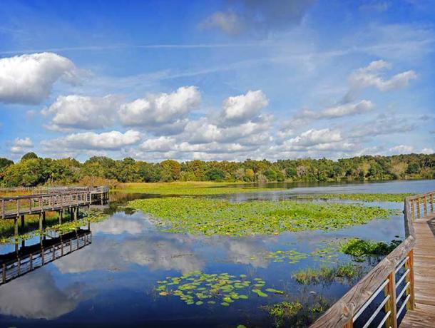 Cooter Pond Park