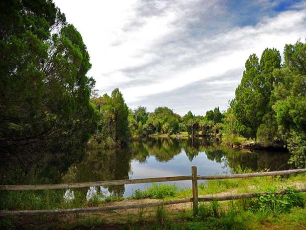 Crystal River Preserve State Park: Crystal Cove/Mullet Hole
