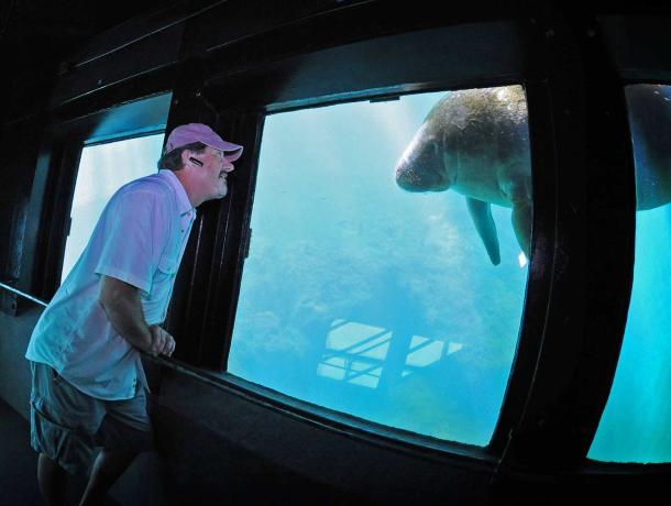 Ellie Schiller Homosassa Springs Wildlife State Park