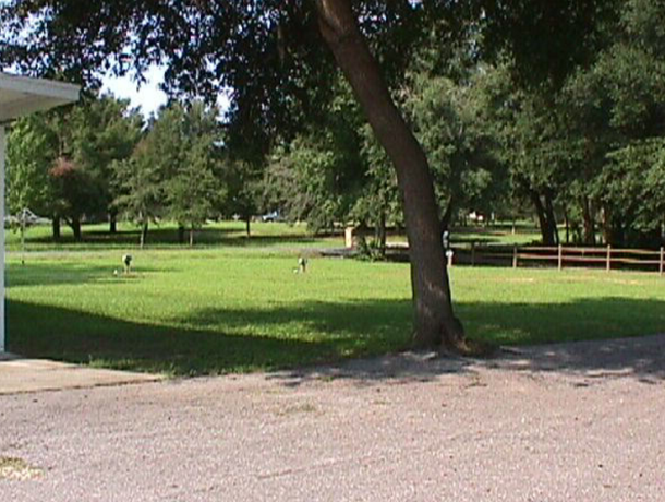 Lecanto Hills Mobile Home & RV Park