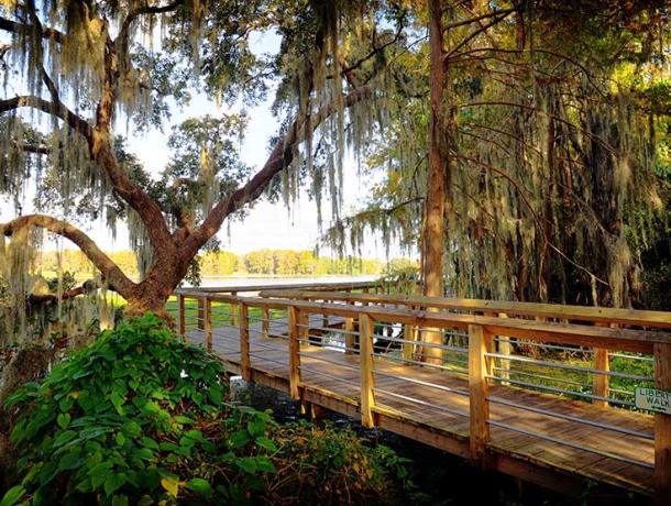 Liberty Trail Boardwalk
