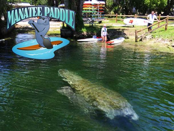 Manatee Paddle
