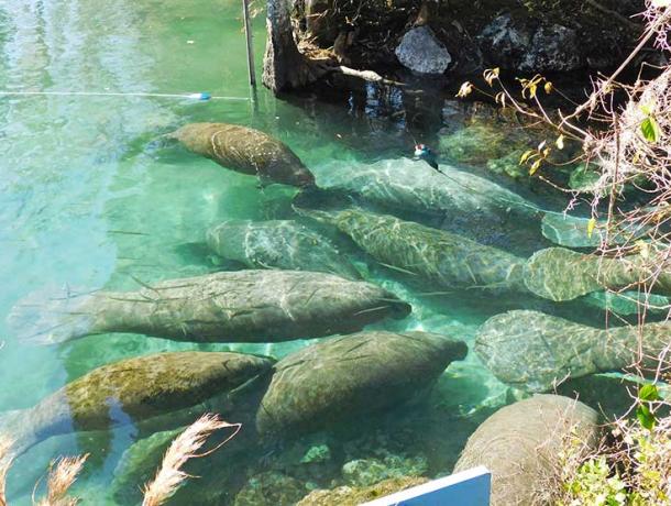 Three Sisters Springs Center