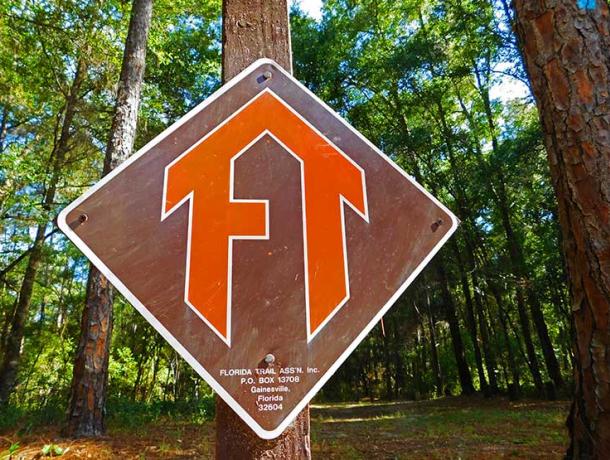 Withlacoochee State Forest-Florida Trail