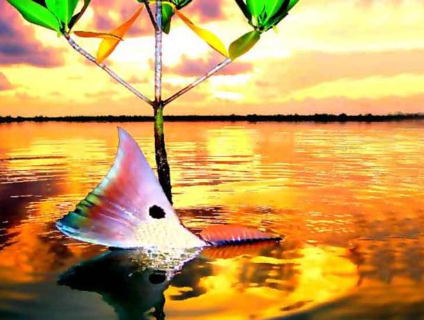 Homosassa Fly Fishing