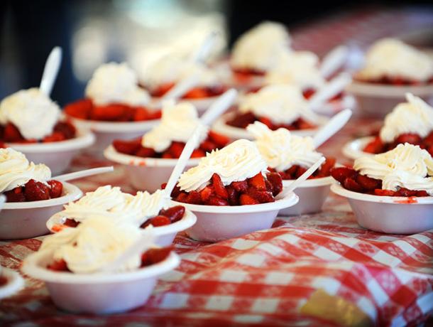 Floral City Strawberry Festival (March)