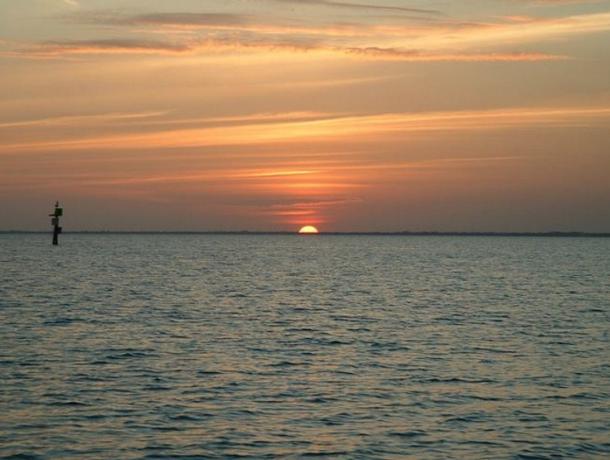 Captain Mike's Fishing Adventures