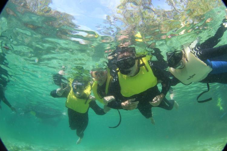 A group of people underwater scuba diving in clear water.
