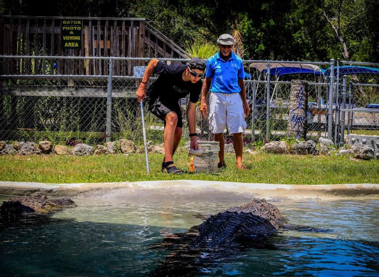 Two men stand on land while an alligator stalks in a pond of water in front of them.