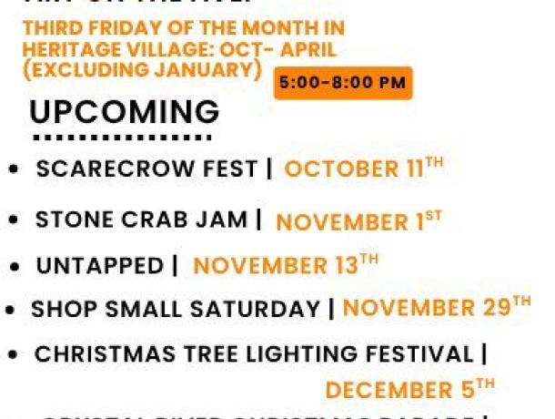 528446413 1176014571234853 5336296900861903314 n