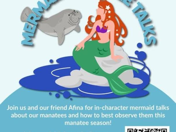 574055575 1455228969732743 3492204522658306904 n