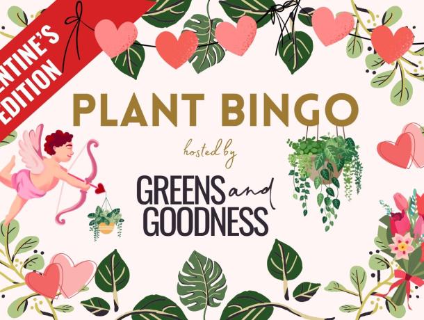 602319320 122167650542660517 7953721050907537888 n