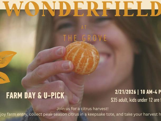 621801850 1224341539844400 8442006656850127452 n