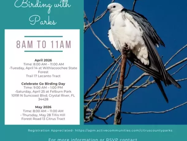 Birding 5 28