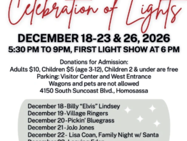 Celeb of Lights