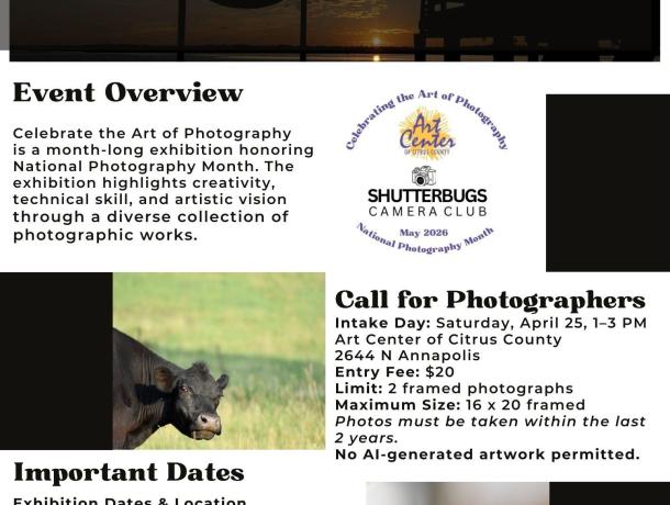 Celebrate Art of Photography info flyer