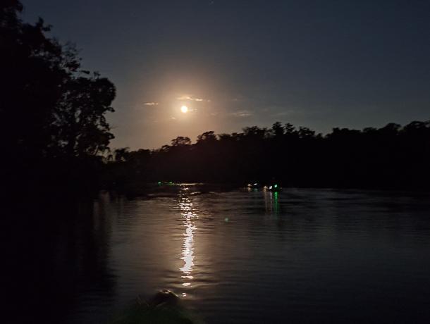 Chassahowitzka River November 2025 Super Full Moon Kayak Tour