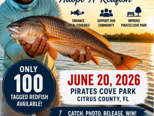 Cove Flyer