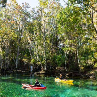 Male and female on individual kayaks, paddling through crystal clear water post-hurricane Milton.