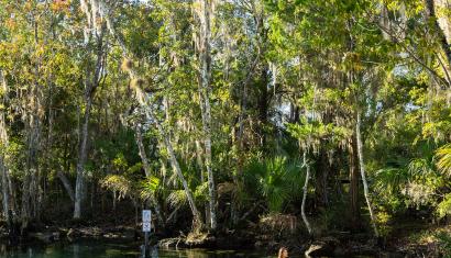 Male and female on individual kayaks, paddling through crystal clear water post-hurricane Milton.