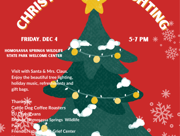 HCCTL Flyer