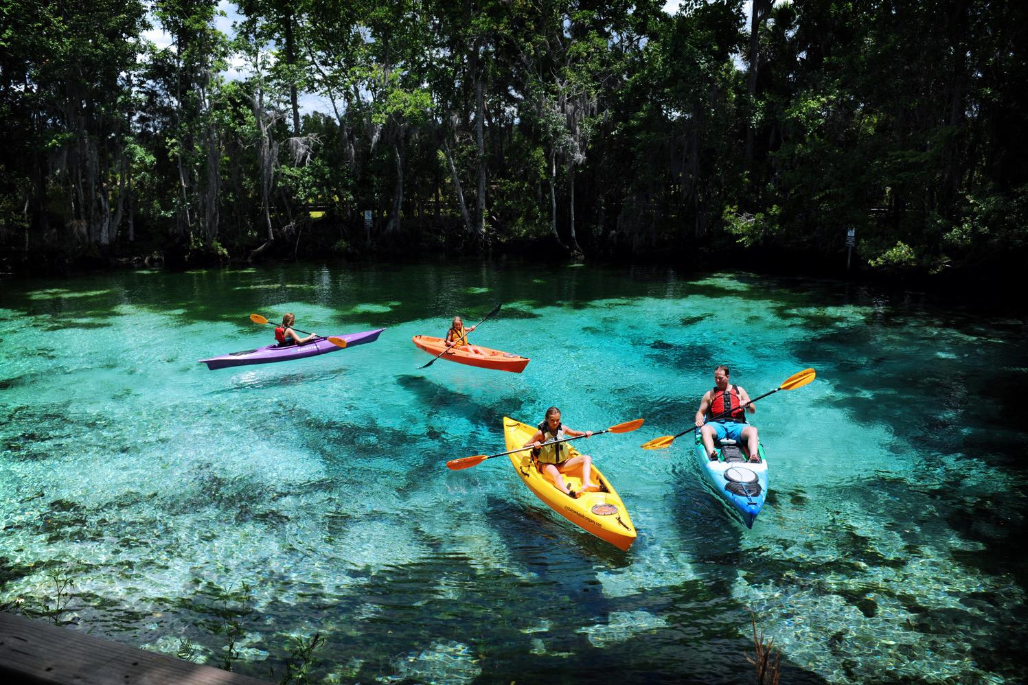 eco tours crystal river