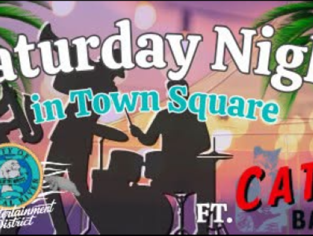 Sat Nite Cats