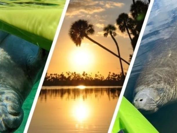 Sunset Manatee Kayaking
